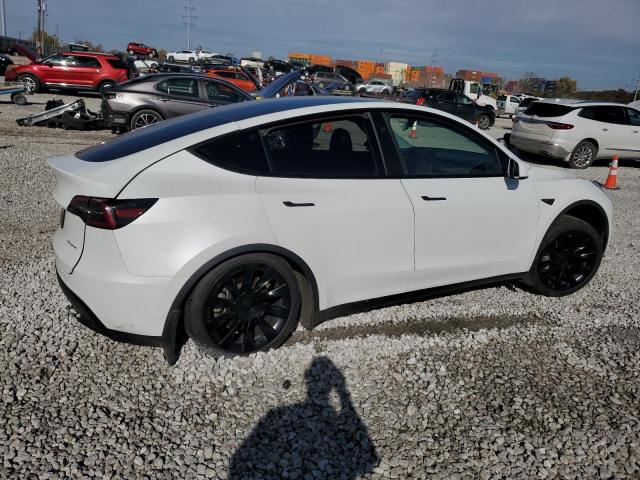 Tesla Model Y Image 5