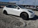 Tesla Model Y Image 4