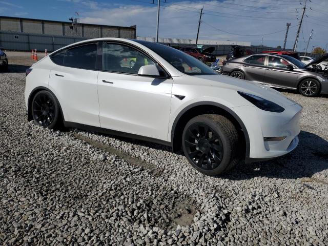 Tesla Model Y Image 4