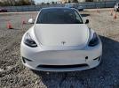 Tesla Model Y Image 3