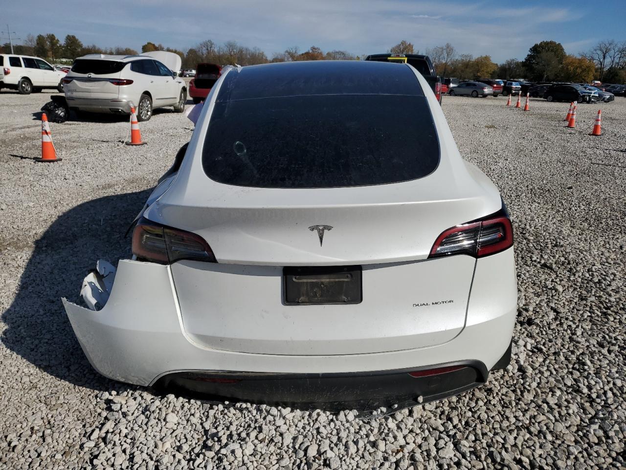 Tesla Model Y Image 7