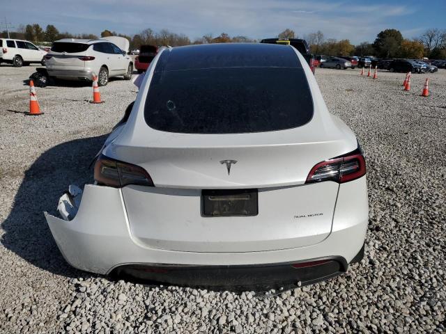 Tesla Model Y Image 7