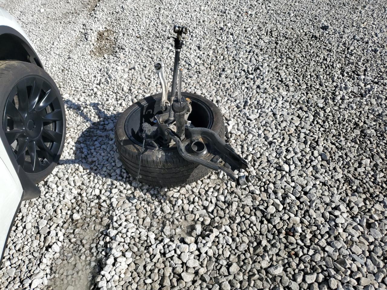 Tesla Model Y Image 13