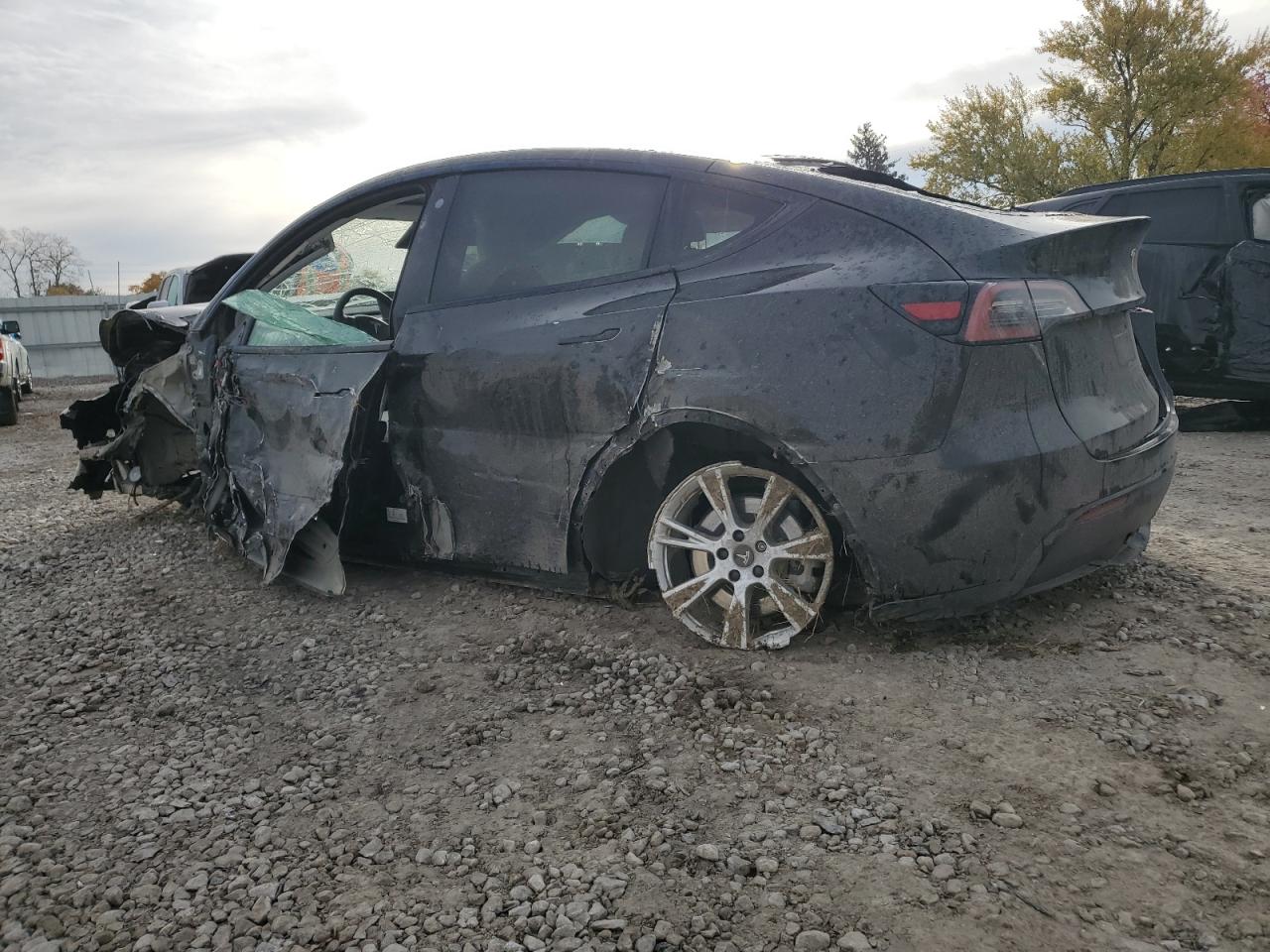 Tesla Model Y Image 2