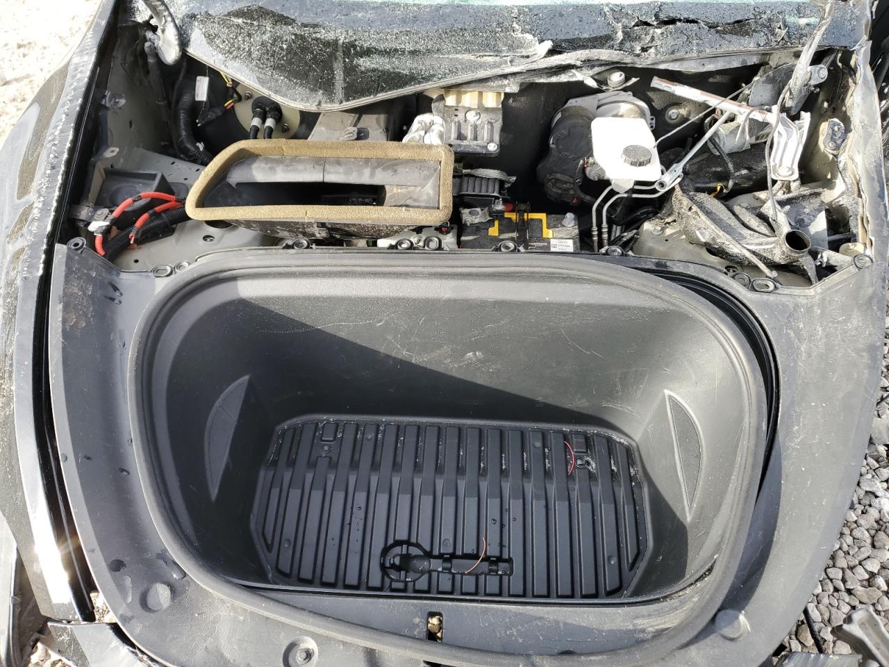 Tesla Model Y Image 8