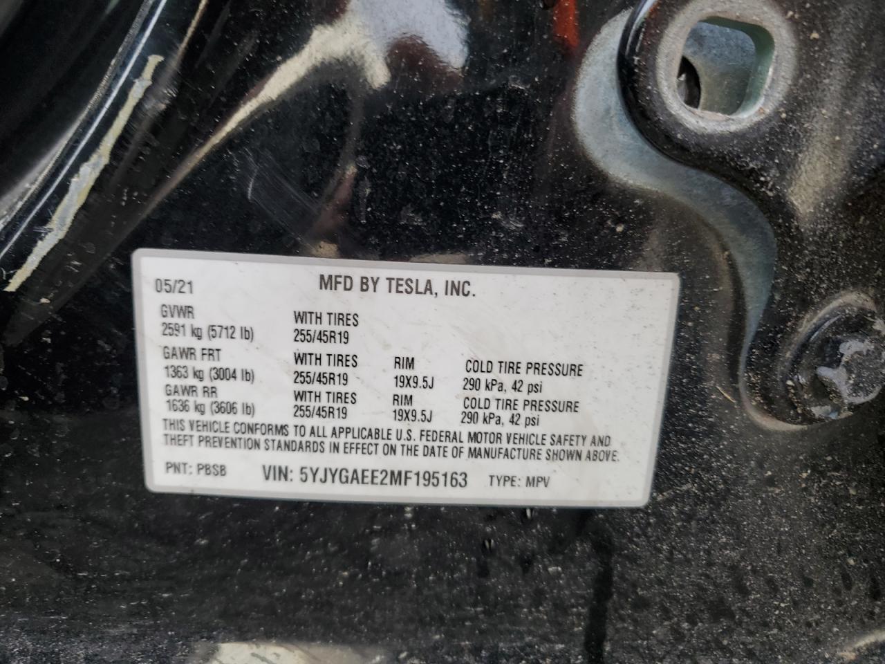 Tesla Model Y Image 9