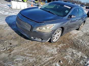 Salvage Nissan Maxima