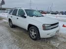Chevrolet Trailblazer Ls Image 11