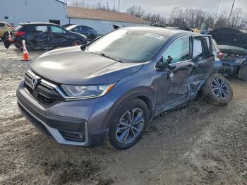  Salvage Honda Crv