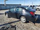 Saturn Ion Level 2 Image 11