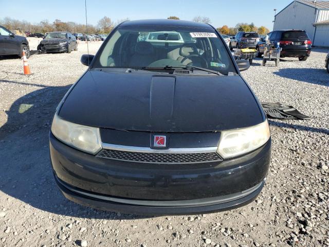 Saturn Ion Level 2 Image 6