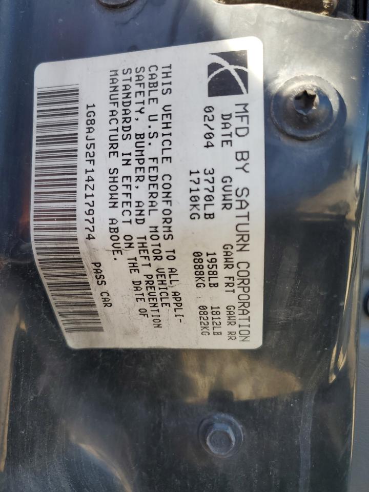 Saturn Ion Level 2 Image 5