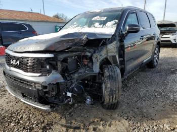  Salvage Kia Telluride