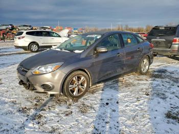 Salvage Ford Focus