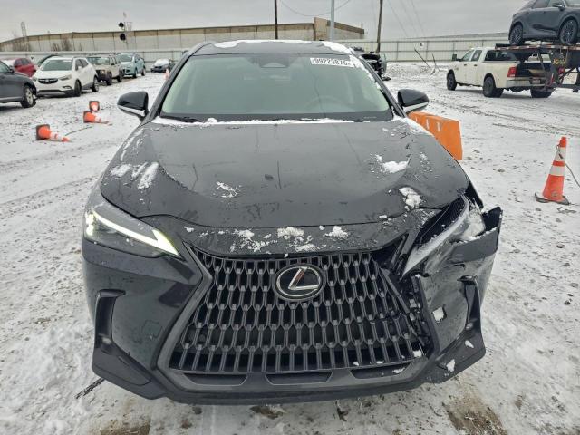 Lexus NX 250 Base Image 3
