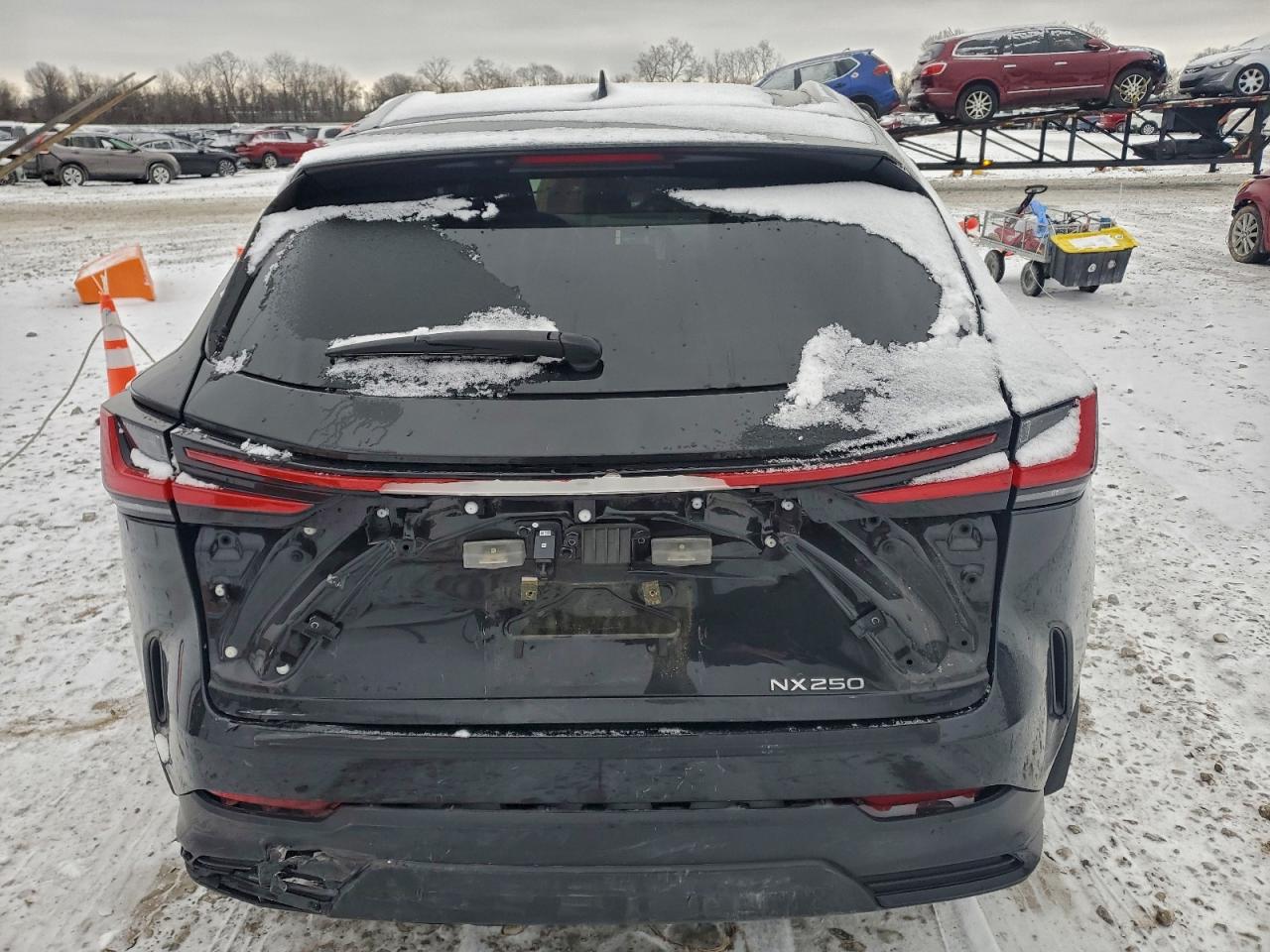 Lexus NX 250 Base Image 11