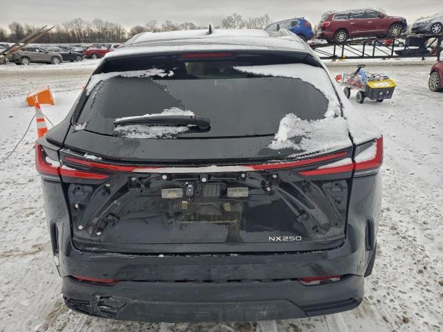 Lexus NX 250 Base Image 11