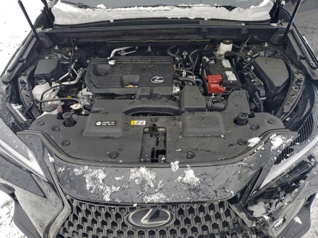 Lexus NX 250 Base Image 8