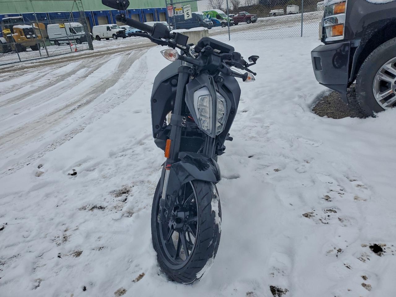 KTM Duke Duke Image 2