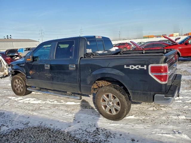 Ford F-150 Supercrew Image 8