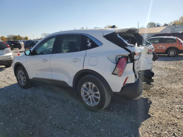 Ford Escape Se Image 7