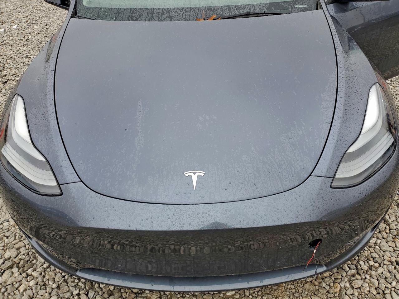 Tesla Model Y Image 4