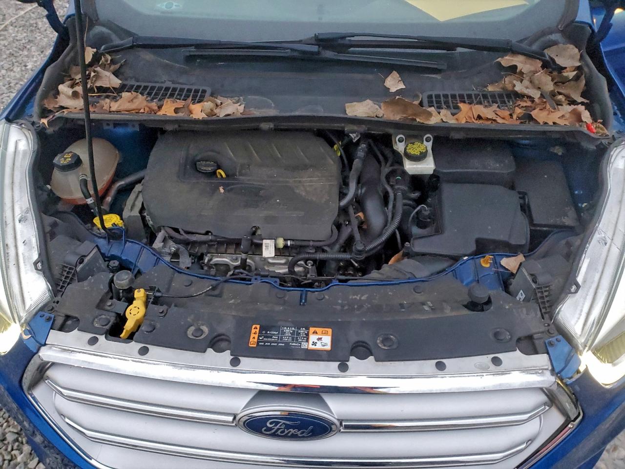 Ford Escape Titanium Image 5